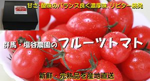 群馬・塩谷農園のフルーツトマト